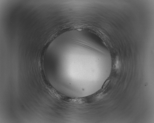 X0000073510524200608281710