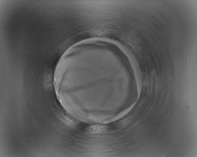 X0000073510526200608281710