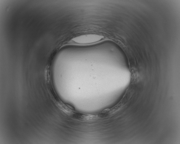 X0000073510527200608281710