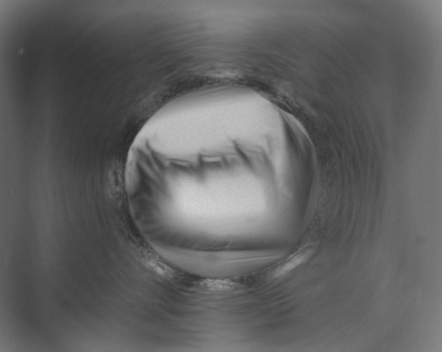 X0000073510528200608281710