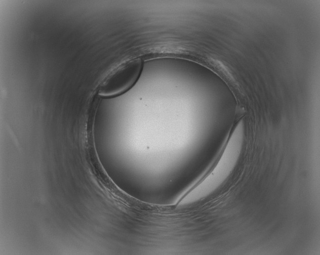 X0000073510531200608281709
