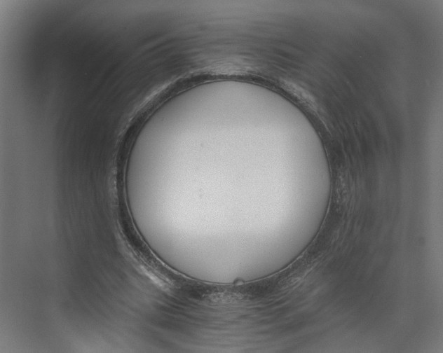 X0000073510535200608281709