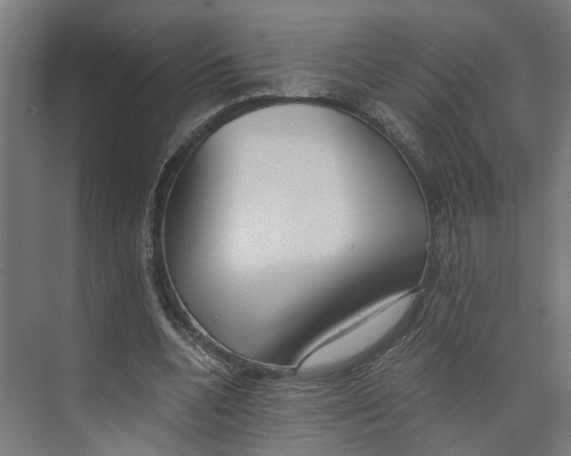 X0000073510536200608281709