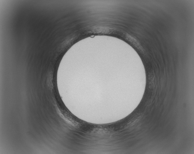 X0000073510538200608281710
