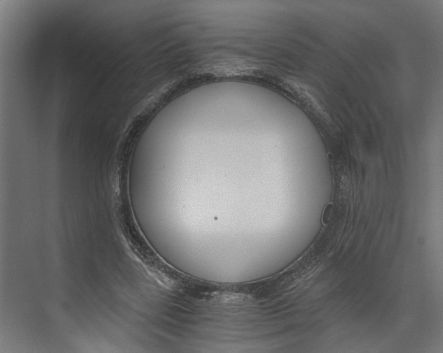 X0000073510539200608281710