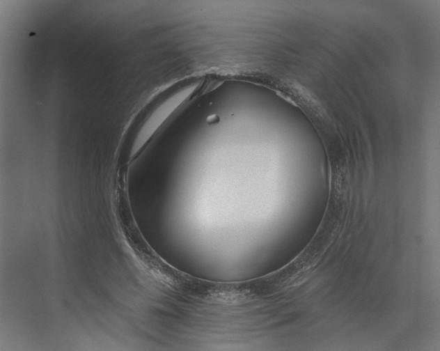 X0000073510540200608281710