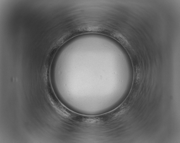 X0000073510542200608281710
