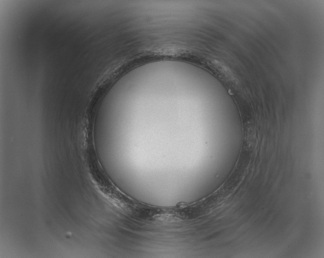 X0000073510544200608281710