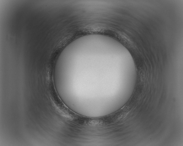 X0000073510546200608281710