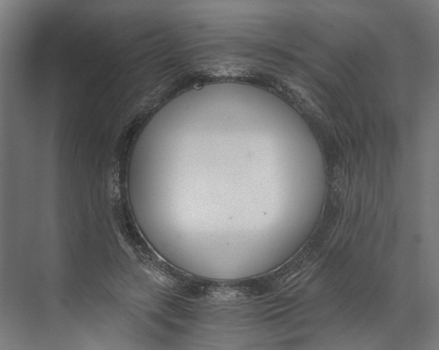 X0000073510547200608281710