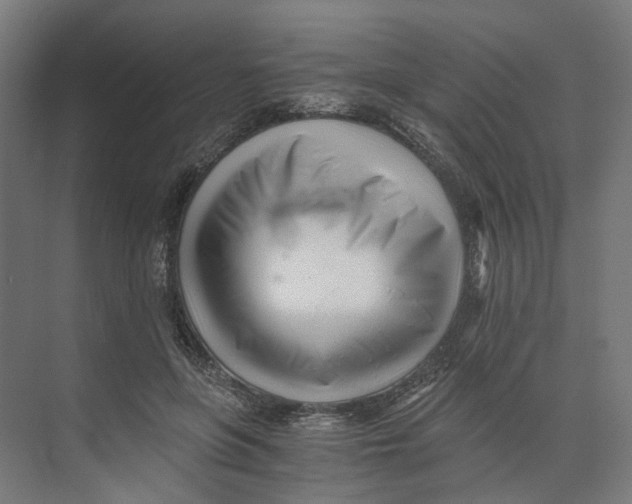 X0000073510551200608281710