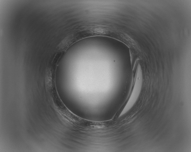 X0000073510552200608281710