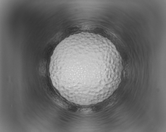 X0000073510554200608281710