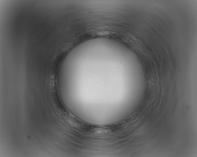 X0000073510555200608281710