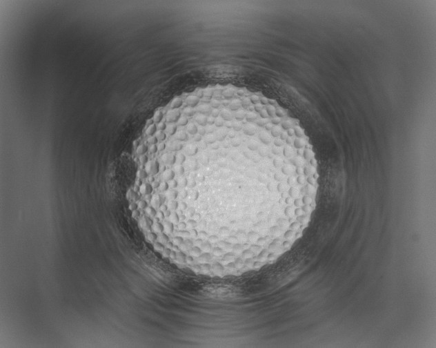 X0000073510557200608281710