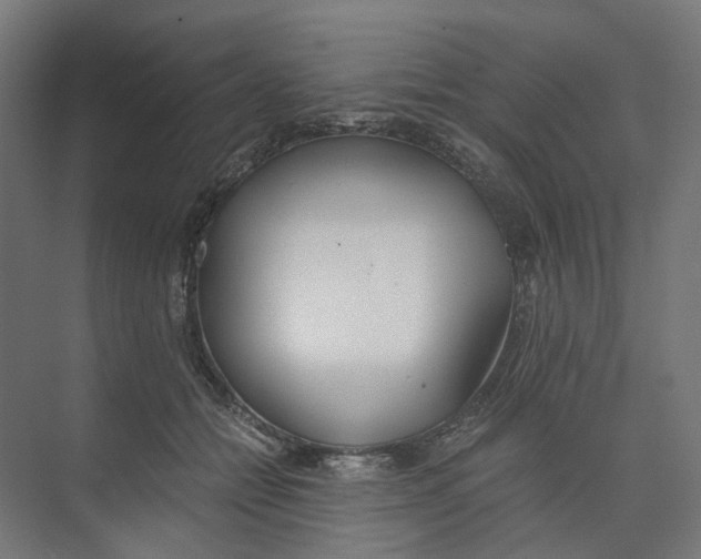 X0000073510558200608281710