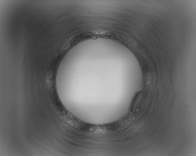 X0000073510559200608281710