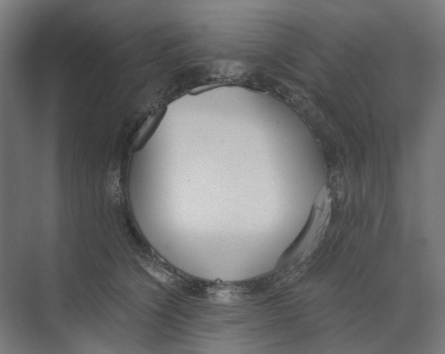 X0000073510564200608281710