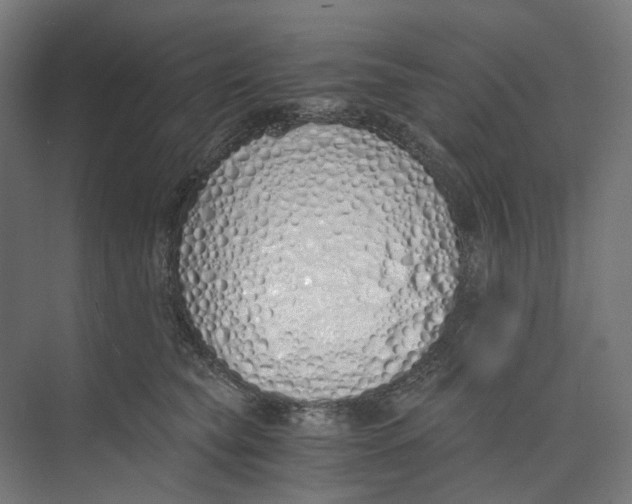 X0000073510565200608281710