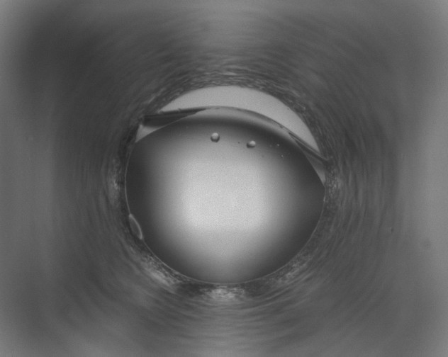X0000073510566200608281710