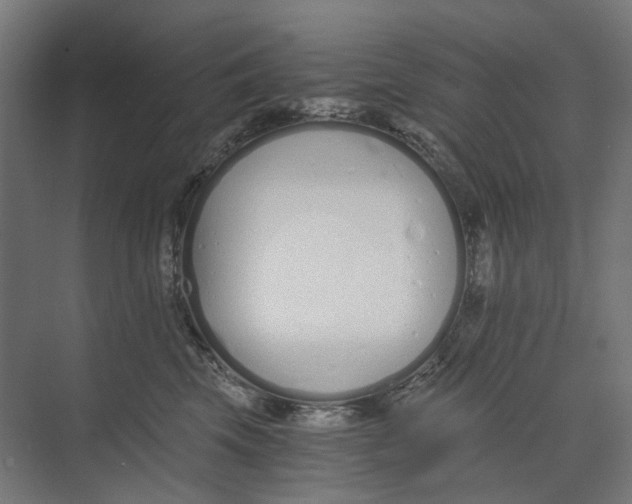 X0000073510569200608281710