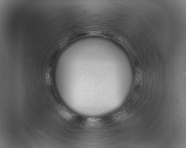 X0000073510573200608281710