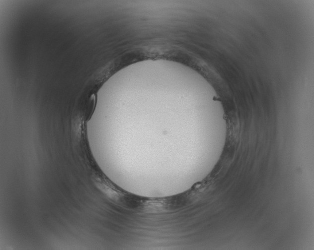 X0000073510574200608281710