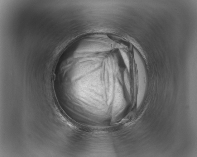 X0000073510577200608281709