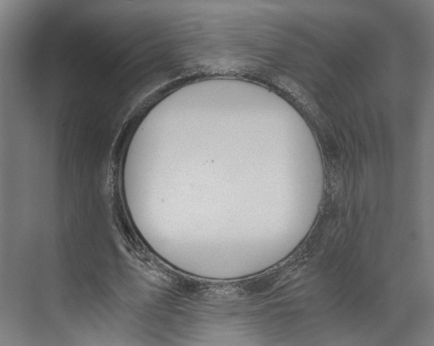 X0000073510583200608281709