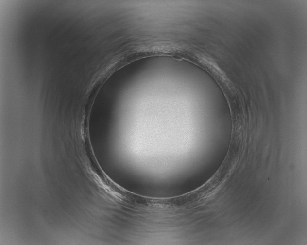 X0000073510585200608281709