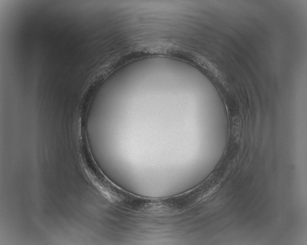 X0000073510589200608281709