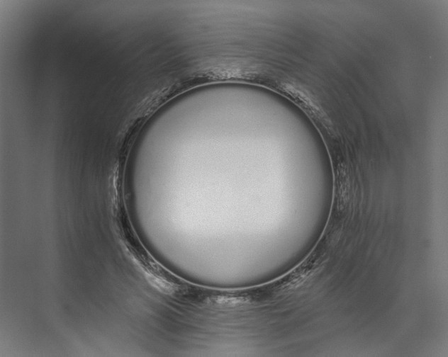 X0000073510590200608281709