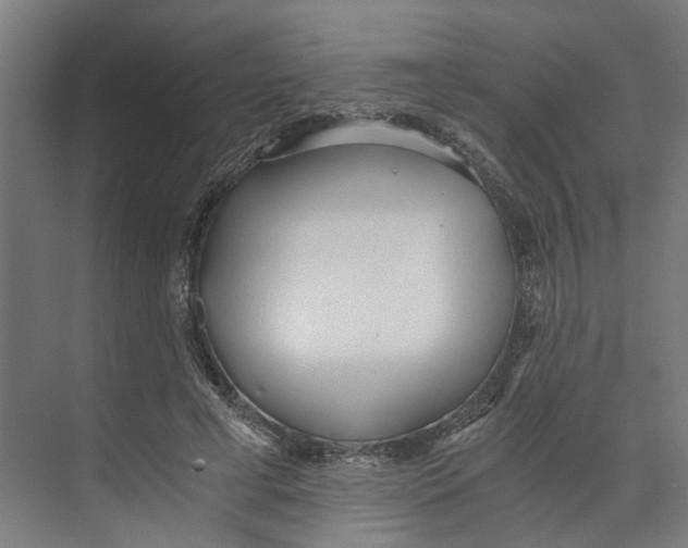 X0000073510593200608281709
