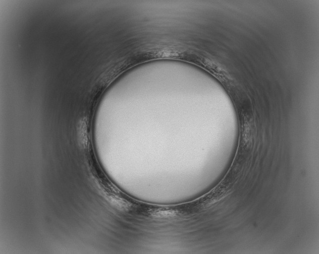 X0000073510594200608281709