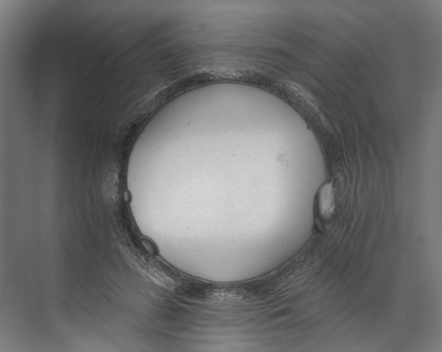X0000073510596200608281709