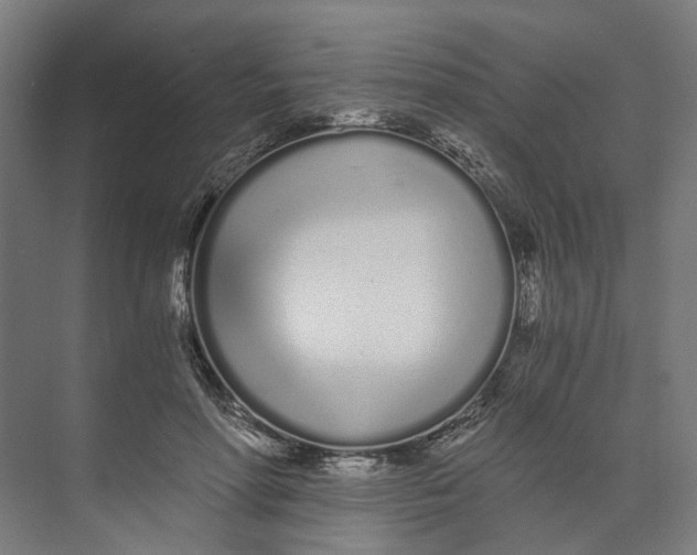 X0000073510598200608281709