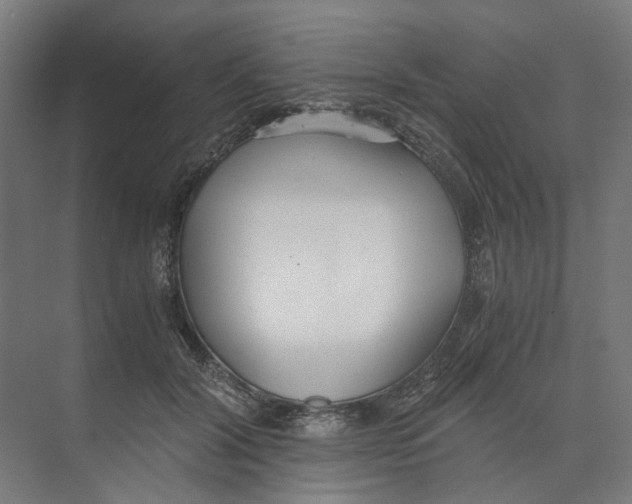 X0000073510604200608281709
