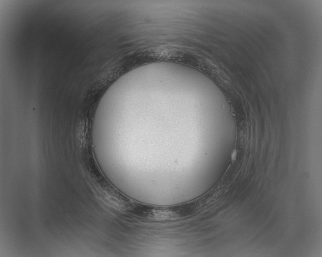 X0000073510605200608281709