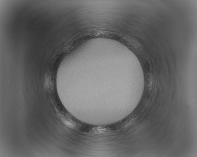 X0000073510607200608281709