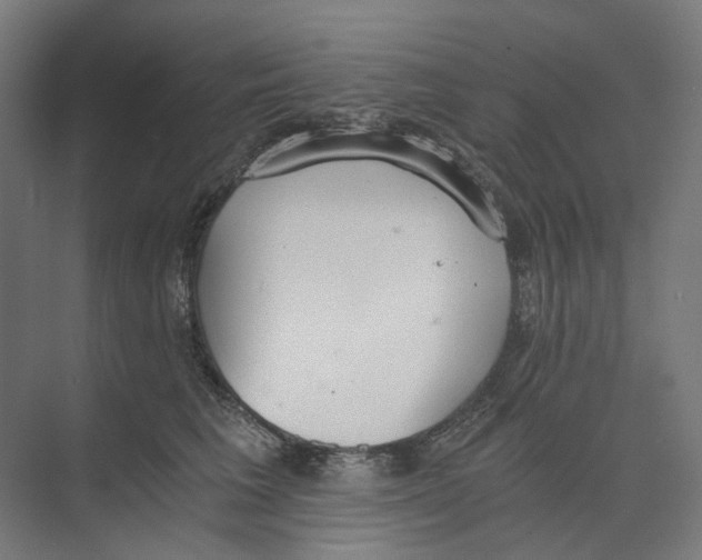 X0000073510613200608281709