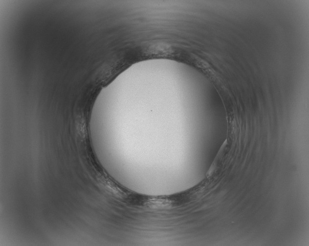 X0000073510617200608281709