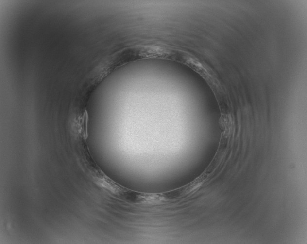 X0000073510621200608281709