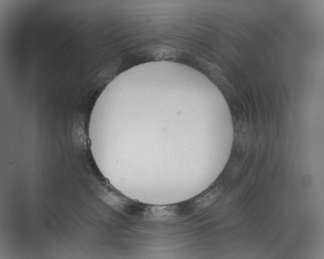 X0000073510622200608281709
