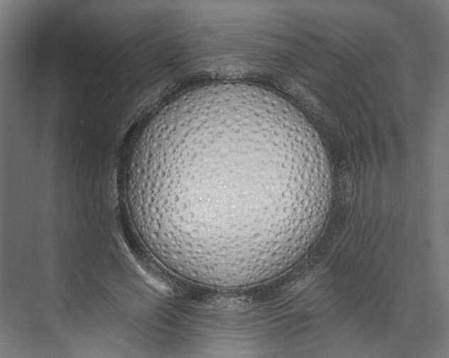 X0000073510638200608281708