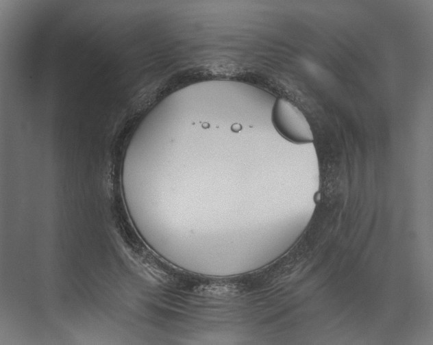X0000073510639200608281708