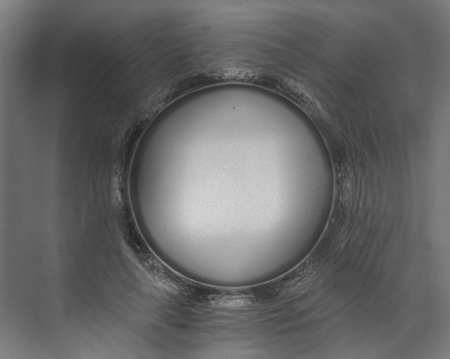 X0000073510643200608281708