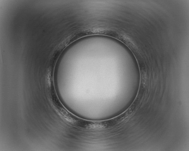 X0000073510644200608281708