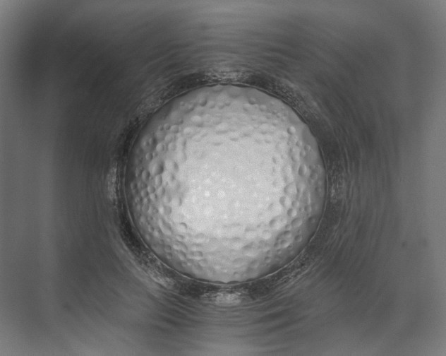 X0000073510647200608281708