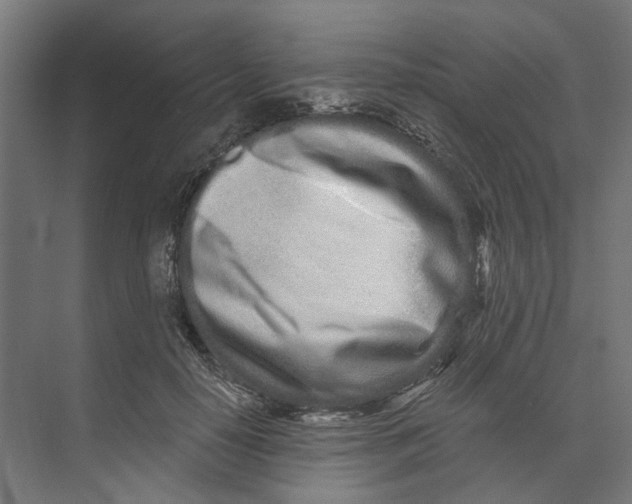 X0000073510650200608281708