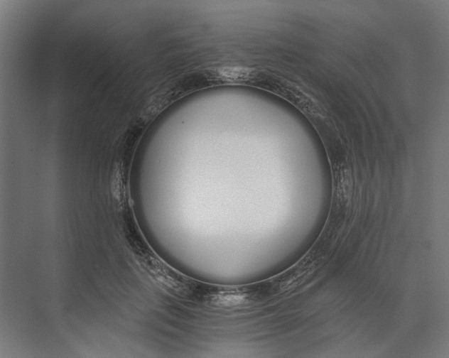 X0000073510651200608281708